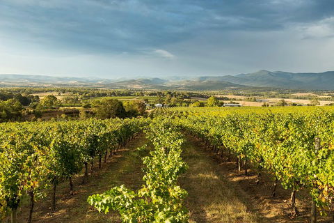 Yarra Valley Local Produce And Wine Tasting Tour - Attractions Sydney 3