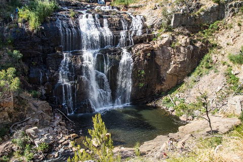 Small-Group Grampians Great Wilderness Escape Day Trip With Hiking - Attractions Sydney 0