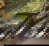 Adelaide Highlights Hahndorf  McLaren Vale Wine Tasting and Sightseeing Tour - Attractions Sydney