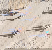 Unlimited Sandboarding - Attractions Sydney