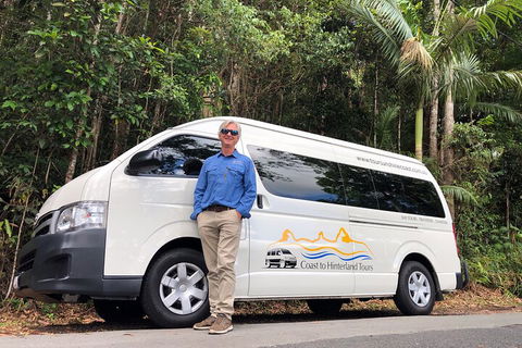 Sunshine Coast Hinterland Rainforest, Views And Montville Day Tour Inc. Lunch - Attractions Sydney 1