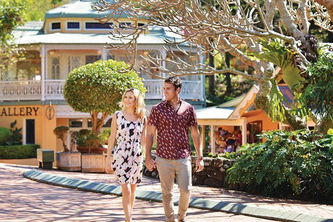 Sunshine Coast Hinterland Rainforest, Views And Montville Day Tour Inc. Lunch - Attractions Sydney 4