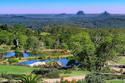 Sunshine Coast Hinterland Rainforest, Views And Montville Day Tour Inc. Lunch - Attractions Sydney 5