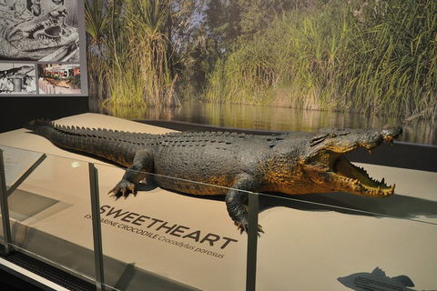 Explore Darwin City Sights Including Key Attractions - Attractions Sydney 2