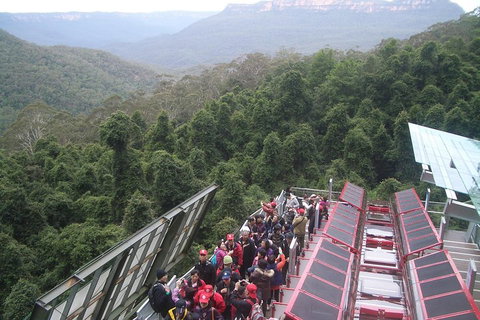 Blue Mountains Private Tour With Wildlife Park And River Cruise - Attractions Sydney 1