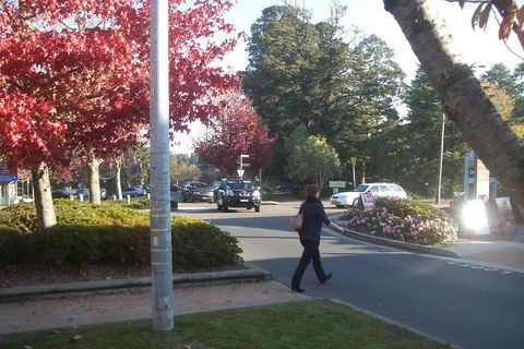 PRIVATE All-Day Blue Mountains Tour With Professional Guide For Up To 4 People - Attractions Sydney 1