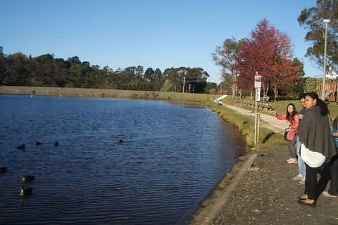 PRIVATE All-Day Blue Mountains Tour With Professional Guide For Up To 4 People - Attractions Sydney 2
