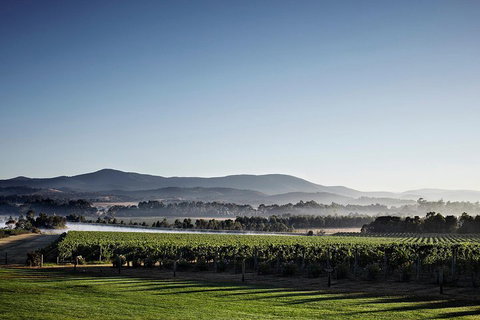 Chauffeur Driven Yarra Valley Group Wine Tour - Up To 7 - Attractions Sydney 2