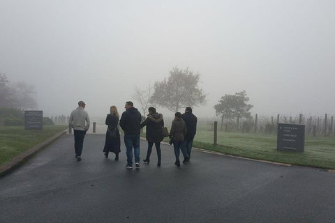 Chauffeur Driven Yarra Valley Group Wine Tour - Up To 7 - Attractions Sydney 4