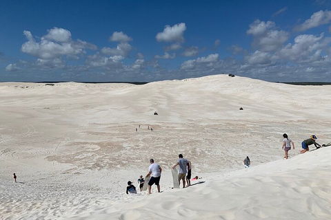 Pinnacles Day Trip From Perth Including Yanchep National Park - Attractions Sydney 2