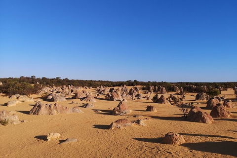 Pinnacles Day Trip From Perth Including Yanchep National Park - Attractions Sydney 3