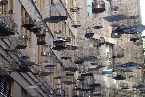 Sydney Scavenger Hunt: Inside Sydney - Attractions Sydney 0