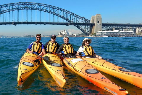 Kayak To Goat Island In Sydney Harbour With Local - Attractions Sydney 5