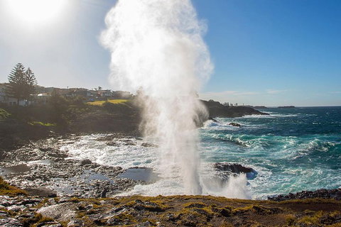Private Tour: Sydney South Coast & Highlands - Attractions Sydney 2