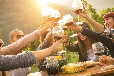 Yarra Valley, Dandenong Ranges Inc. Lunch With Wine,plus Morning Tea,chocolate - Attractions Sydney 4