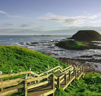 Full-Day Private Australian Wildlife Tour of Phillip Island - Attractions Sydney