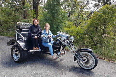 Blue Mountains 1-Hour Trike Tour Of Three Sisters - Attractions Sydney 1