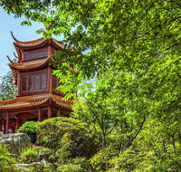 Chinese Garden General Admission Ticket - Attractions Sydney