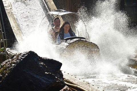 Theme Park Transfer From Brisbane - Attractions Sydney 1