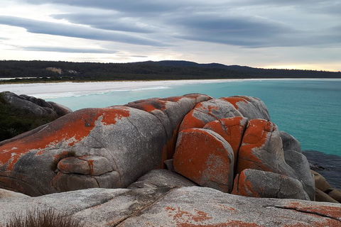 3-Day Bay Of Fires Photography Workshop From Hobart - Attractions Sydney 0