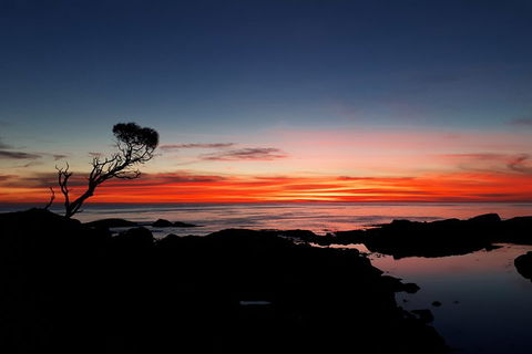 3-Day Bay Of Fires Photography Workshop From Hobart - Attractions Sydney 1