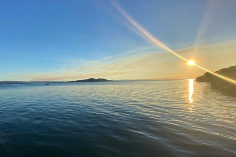 Aquascene Magnetic Island Discovery Tour - Attractions Sydney 0