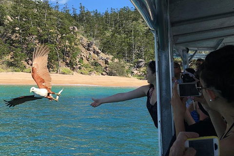 Aquascene Magnetic Island Discovery Tour - Attractions Sydney 2