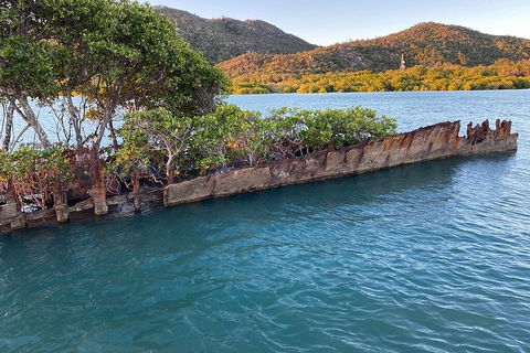 Aquascene Magnetic Island Discovery Tour - Attractions Sydney 3