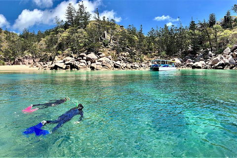 Aquascene Magnetic Island Discovery Tour - Attractions Sydney 4