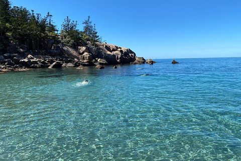 Aquascene Magnetic Island Discovery Tour - Attractions Sydney 5