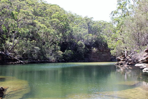Royal National Park Tour - Attractions Sydney 5