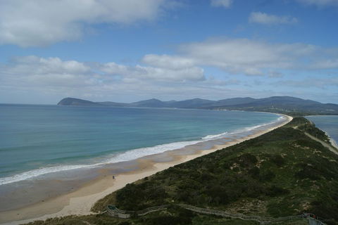 7-Day Best Of Tasmania Adventure Experience From Hobart (flexible Ticket) - Attractions Sydney 2