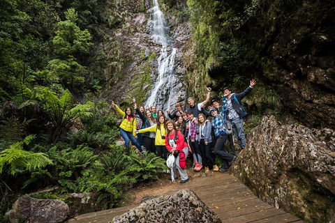 5-Day Lap Of Tasmania Tour From Hobart (flexible Ticket) - Attractions Sydney 0