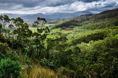 5-Day Lap Of Tasmania Tour From Hobart (flexible Ticket) - Attractions Sydney 2