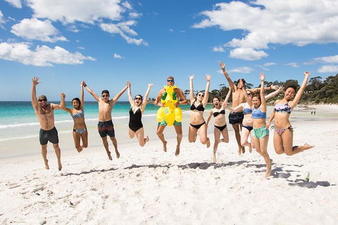5-Day Lap Of Tasmania Tour From Hobart (flexible Ticket) - Attractions Sydney 4