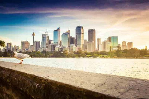 Private Sydney City And Bondi Beach Half Day Tour - Attractions Sydney 2