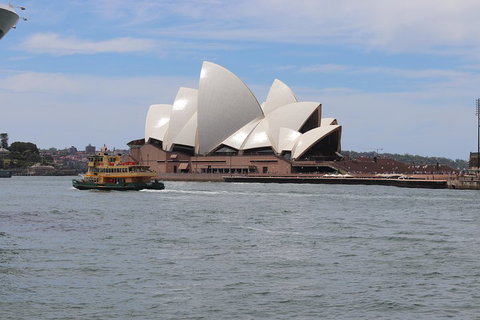 Private Sydney City And Bondi Beach Half Day Tour - Attractions Sydney 5