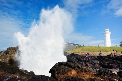 Private Grand Pacific Drive And Southern Highlands Tour - Attractions Sydney 4