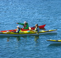 Half-Day Sydney Middle Harbour Guided Kayaking Eco Tour - Attractions Sydney