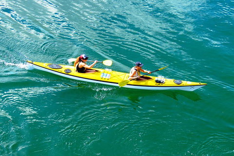 Self-Guided Sydney Middle Harbour Kayak 3 Hour Tour By Double Kayak - Attractions Sydney 1