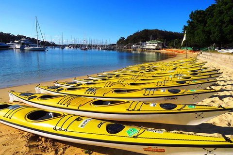 Self-Guided Sydney Middle Harbour Kayak 3 Hour Tour By Double Kayak - Attractions Sydney 4