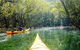 Middle Harbour Mangrove Explorer - thumb 0