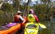 Middle Harbour Mangrove Explorer - thumb 3