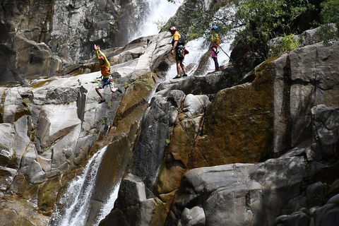 Behana Canyon Rainforest And Waterfall Experience - Attractions Sydney 2