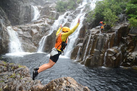 Behana Canyon Rainforest And Waterfall Experience - Attractions Sydney 3