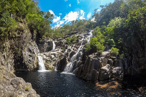Behana Canyon Rainforest And Waterfall Experience - Attractions Sydney 5
