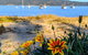 Central Coast Explorer With 'Personalised Sydney Tours' - thumb 2