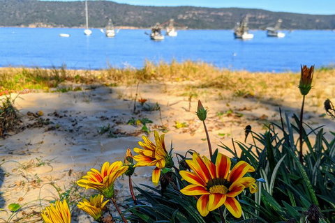 Central Coast Explorer With 'Personalised Sydney Tours' - Attractions Sydney 2