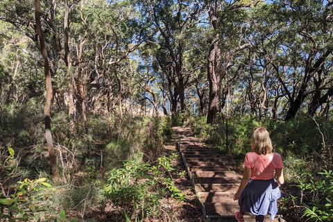 Central Coast Explorer With 'Personalised Sydney Tours' - Attractions Sydney 4