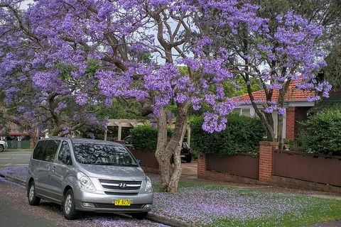 Sydney Secrets & Bondi Beach Private 4 Hr Morning With Personalised Sydney Tours - Attractions Sydney 0